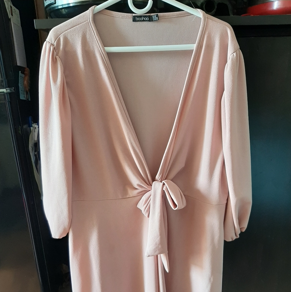 Blush plus size skater dress